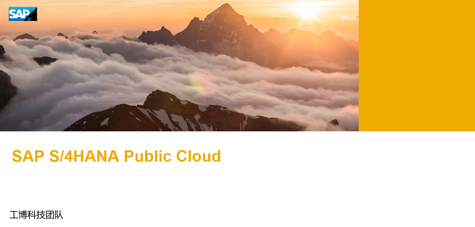 SAP S/4HANA Cloud Public Edition（SAP ERP 公有云） 是一款即装即用的云ERP软件，详询SAP系统供应商工博科技。