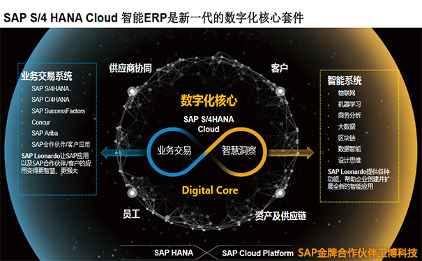 云ERP,SAP S/4HANA Cloud,SAP消费行业