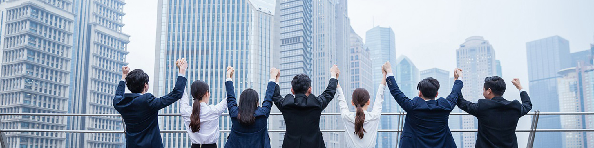 上市公司ERP,上市企业ERP,集团公司ERP,集团企业ERP软件,SAP软件,SAP business one