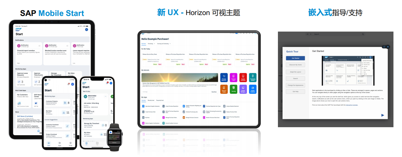 SAP ERP公有云SAP集成解决方案
