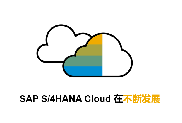 SAP S/4HANA Cloud,SAP公有云,SAP企业管理软件