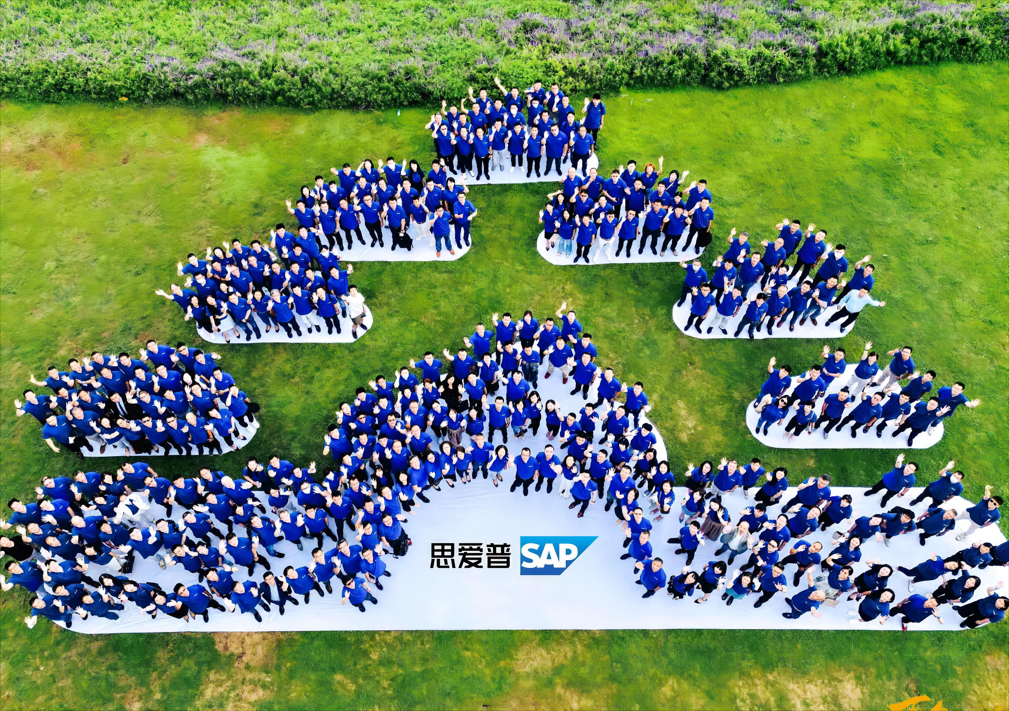 SAP在国内的服务商有哪些？