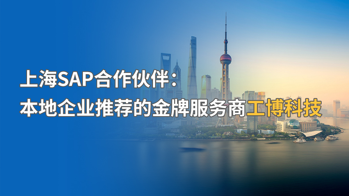 上海SAP实施供应商推荐：选择供应商的关键因素
