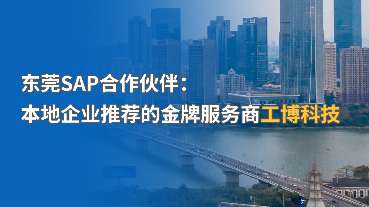 东莞SAP本地化服务商推荐，哪家更专业？