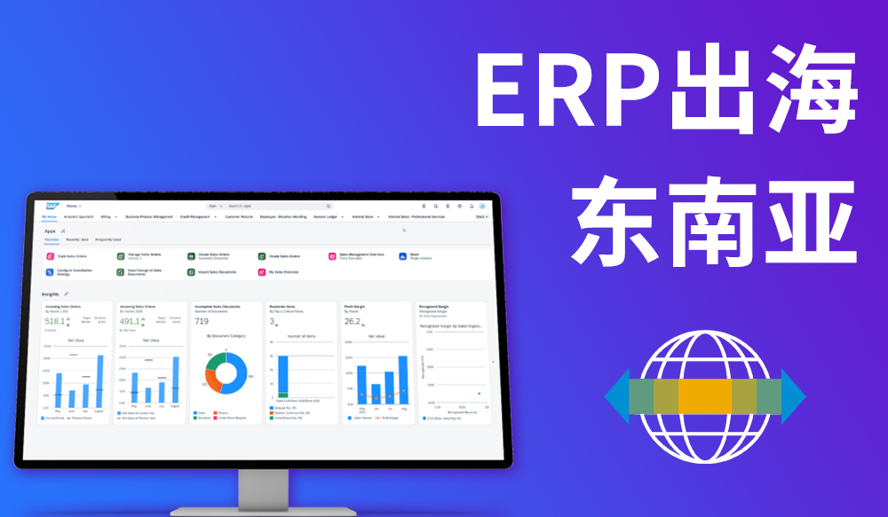 SAP ERP出海解决方案