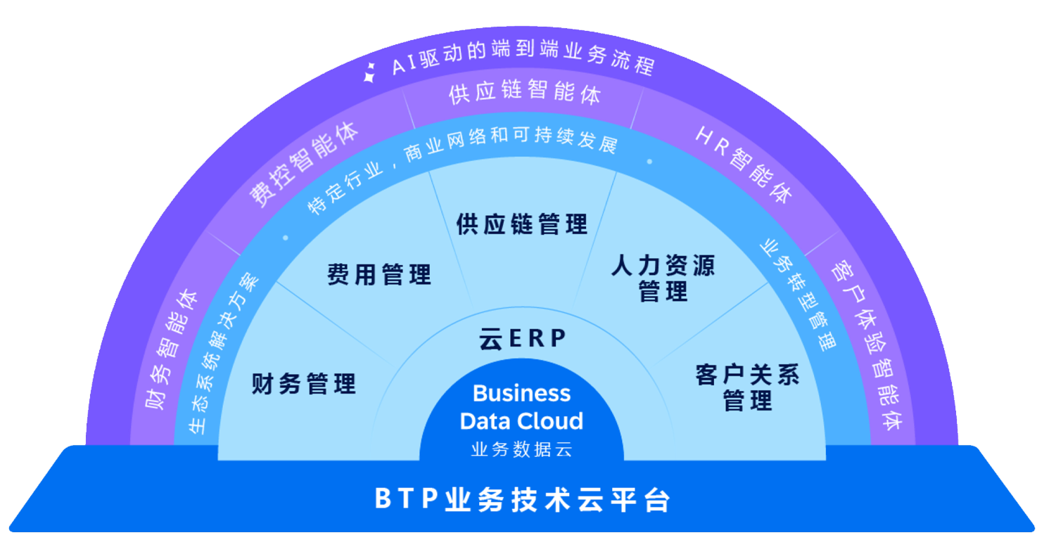 什么是SAP Business Suite？