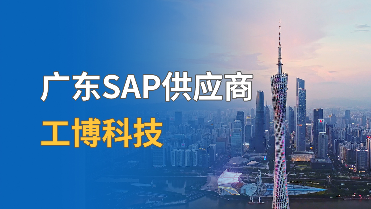 广东SAP厂家推荐
