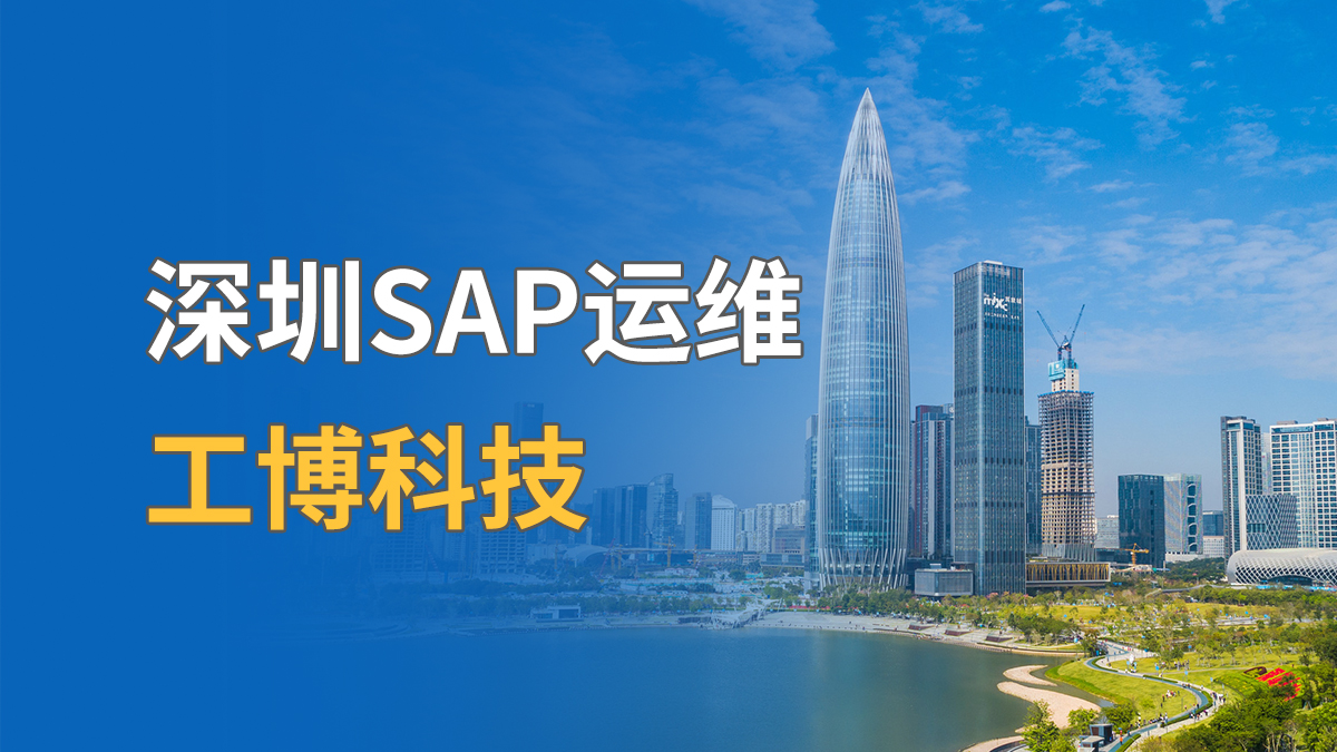 深圳SAP运维厂家有哪些？