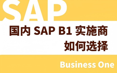 如何选择国内SAP B1实施商